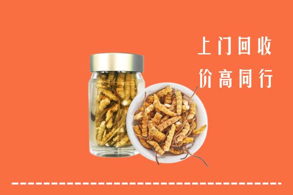永州高价回收冬虫夏草